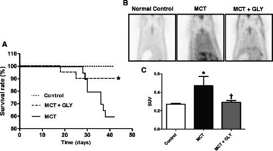 https://cdn.ncbi.nlm.nih.gov/pmc/blobs/9af2/4248446/f81d2980aeba/12931_2014_148_Fig6_HTML.jpg