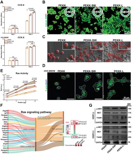 https://cdn.ncbi.nlm.nih.gov/pmc/blobs/9af3/10477864/2a678617a694/ADVS-10-2302136-g009.jpg