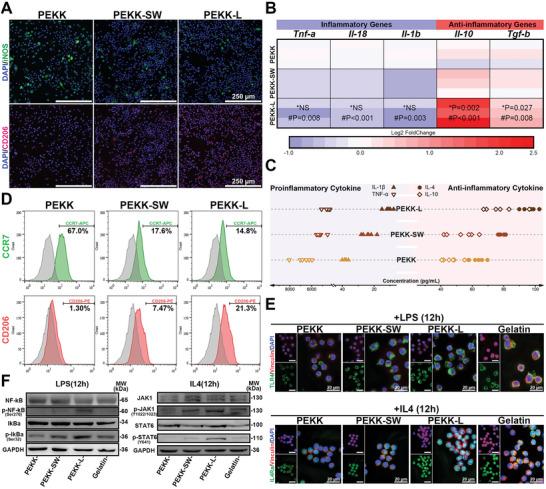 https://cdn.ncbi.nlm.nih.gov/pmc/blobs/9af3/10477864/607aeb656e06/ADVS-10-2302136-g001.jpg