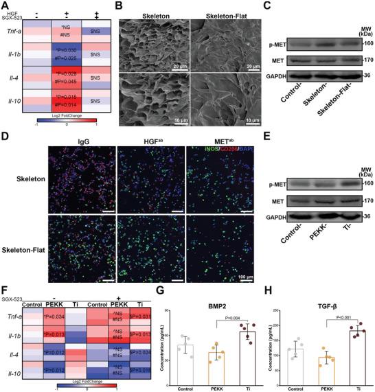 https://cdn.ncbi.nlm.nih.gov/pmc/blobs/9af3/10477864/b2c472eba3da/ADVS-10-2302136-g006.jpg