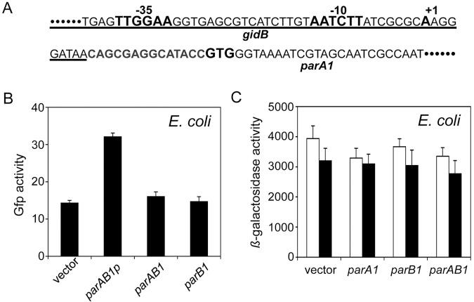 https://cdn.ncbi.nlm.nih.gov/pmc/blobs/9af3/4010829/c4ba6d0dea52/mbo0021418220004.jpg