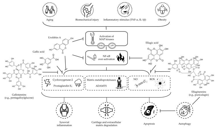 https://cdn.ncbi.nlm.nih.gov/pmc/blobs/9af4/8840395/51f1b7b9286c/molecules-27-01033-g001.jpg