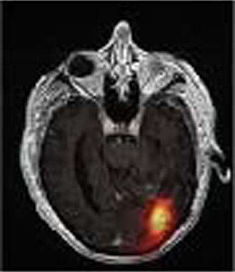 https://cdn.ncbi.nlm.nih.gov/pmc/blobs/9af5/11069497/1aab6c17341e/41181_2024_266_Fig10_HTML.jpg