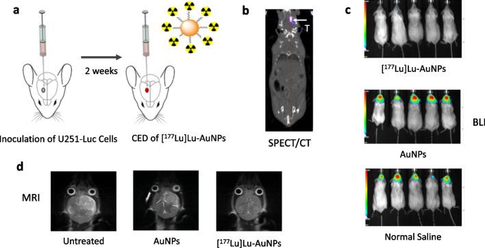 https://cdn.ncbi.nlm.nih.gov/pmc/blobs/9af5/11069497/4a39d7e03001/41181_2024_266_Fig9_HTML.jpg