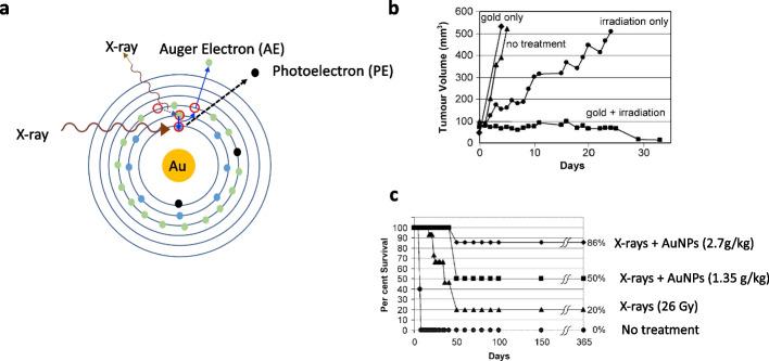 https://cdn.ncbi.nlm.nih.gov/pmc/blobs/9af5/11069497/668f1c1ee51d/41181_2024_266_Fig2_HTML.jpg