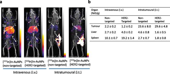 https://cdn.ncbi.nlm.nih.gov/pmc/blobs/9af5/11069497/befe5e14b564/41181_2024_266_Fig3_HTML.jpg