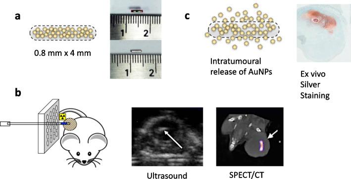 https://cdn.ncbi.nlm.nih.gov/pmc/blobs/9af5/11069497/d0cb33412be3/41181_2024_266_Fig7_HTML.jpg