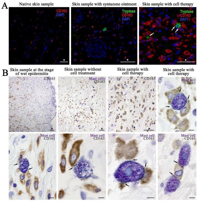 https://cdn.ncbi.nlm.nih.gov/pmc/blobs/9af5/11900442/0c912e158d1b/ijms-26-01994-g009.jpg