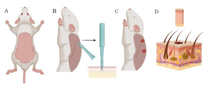 https://cdn.ncbi.nlm.nih.gov/pmc/blobs/9af5/11900442/78955bbaaa2a/ijms-26-01994-g010.jpg