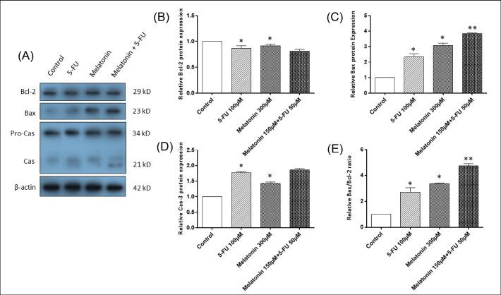 https://cdn.ncbi.nlm.nih.gov/pmc/blobs/9af7/8494259/dcb5d56cdba7/bi-11-253-g004.jpg