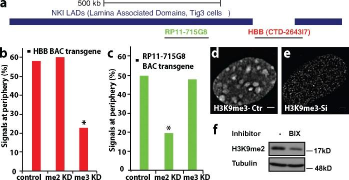https://cdn.ncbi.nlm.nih.gov/pmc/blobs/9af9/3857487/87c12647b0b6/JCB_201305027_Fig9.jpg