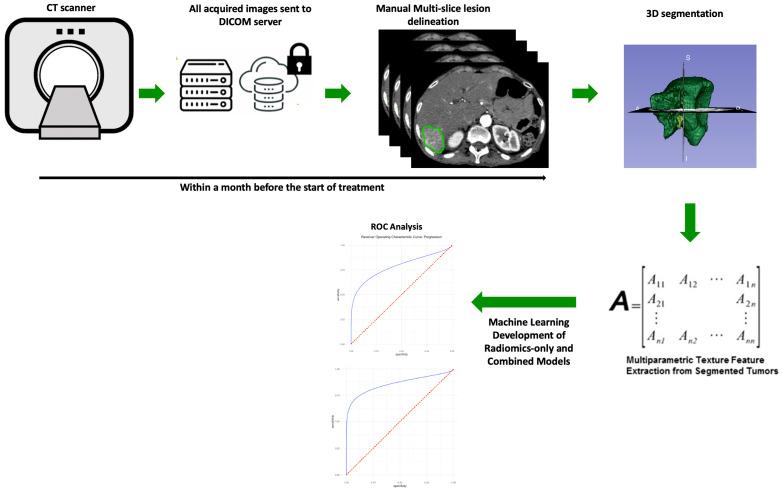https://cdn.ncbi.nlm.nih.gov/pmc/blobs/9afc/10216156/fd01e9382bb8/cancers-15-02700-g001.jpg
