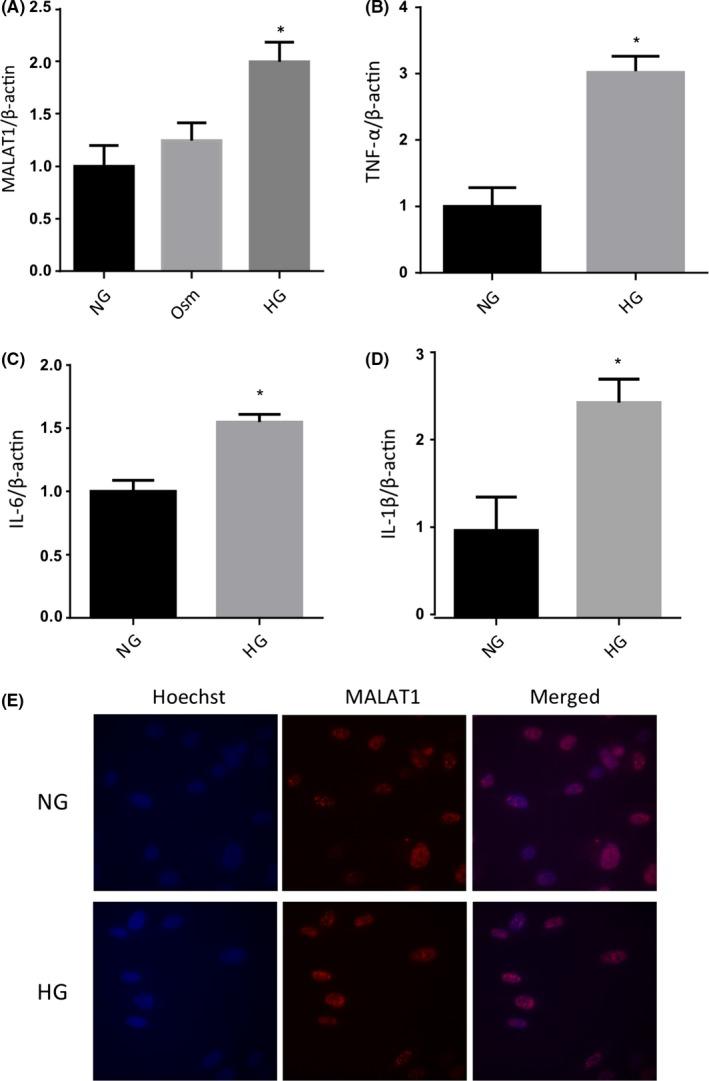 https://cdn.ncbi.nlm.nih.gov/pmc/blobs/9afc/6354803/4bda5d33319c/EDM2-1-e00010-g001.jpg