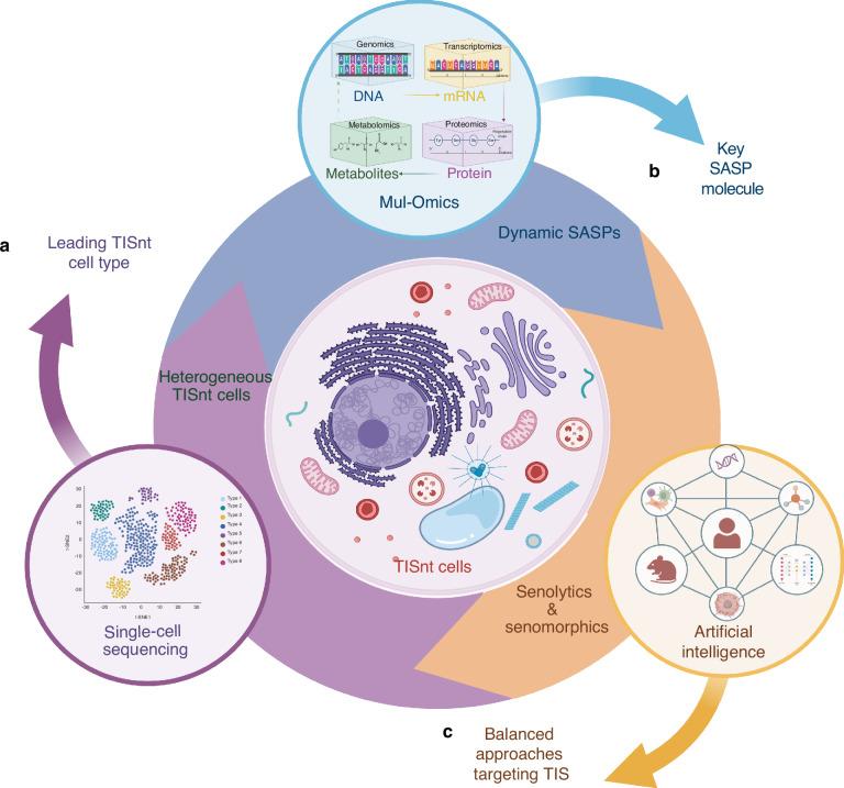 https://cdn.ncbi.nlm.nih.gov/pmc/blobs/9afd/12317027/862b4d5c5b26/41368_2025_380_Fig5_HTML.jpg