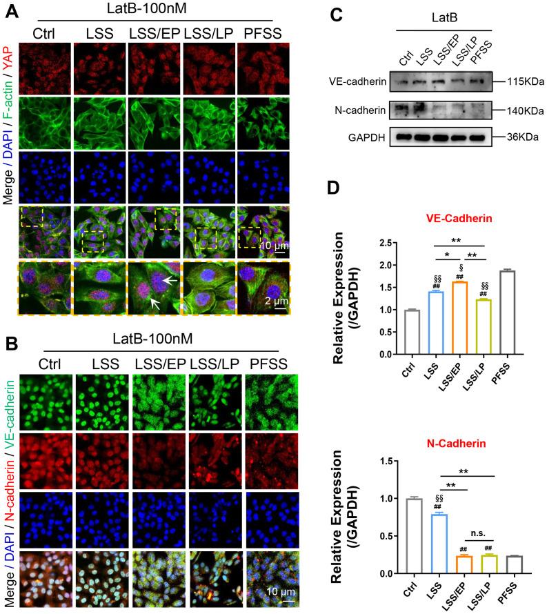 https://cdn.ncbi.nlm.nih.gov/pmc/blobs/9aff/10898918/075a70217bc2/ABPID9-000008-016110_1-g008.jpg