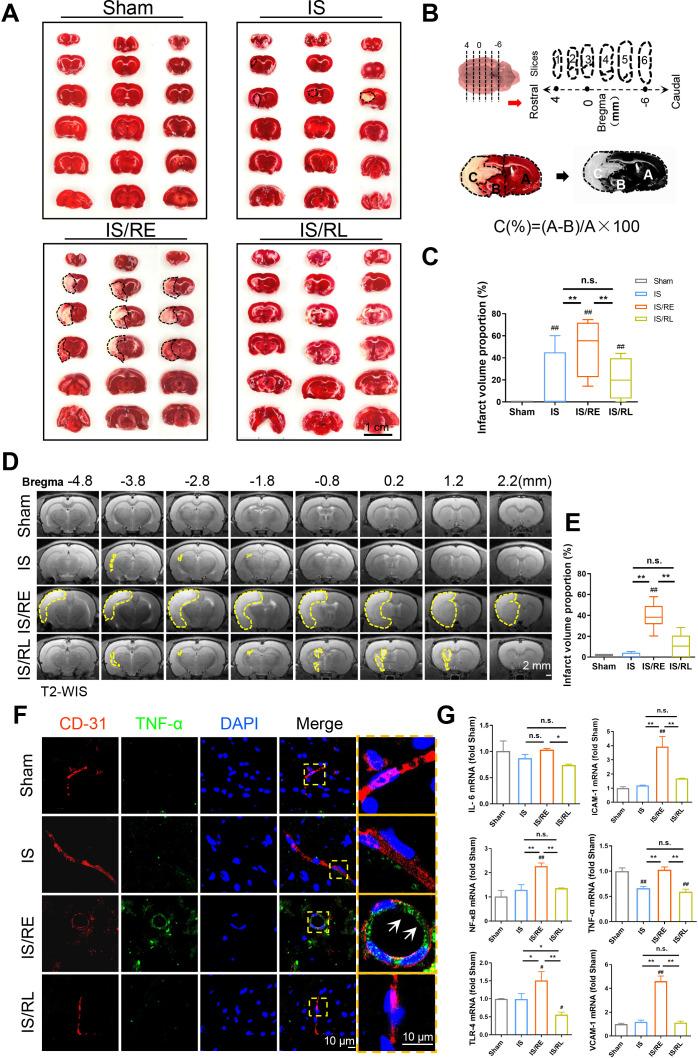 https://cdn.ncbi.nlm.nih.gov/pmc/blobs/9aff/10898918/293b823a8345/ABPID9-000008-016110_1-g001.jpg
