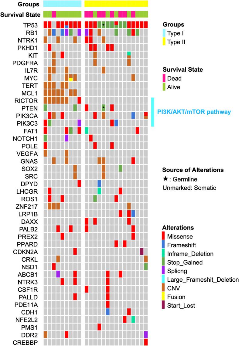 https://cdn.ncbi.nlm.nih.gov/pmc/blobs/9aff/8832809/a488f787649b/13000_2022_1204_Fig5_HTML.jpg