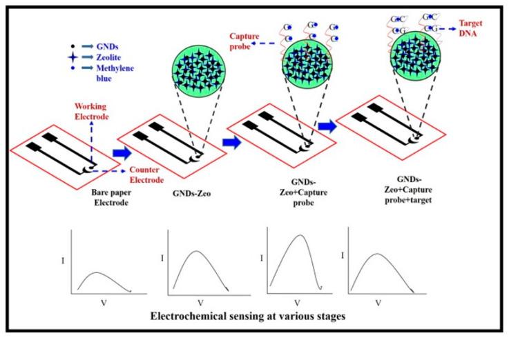 https://cdn.ncbi.nlm.nih.gov/pmc/blobs/9b01/10377443/f23760f9b3c5/biosensors-13-00689-g004.jpg