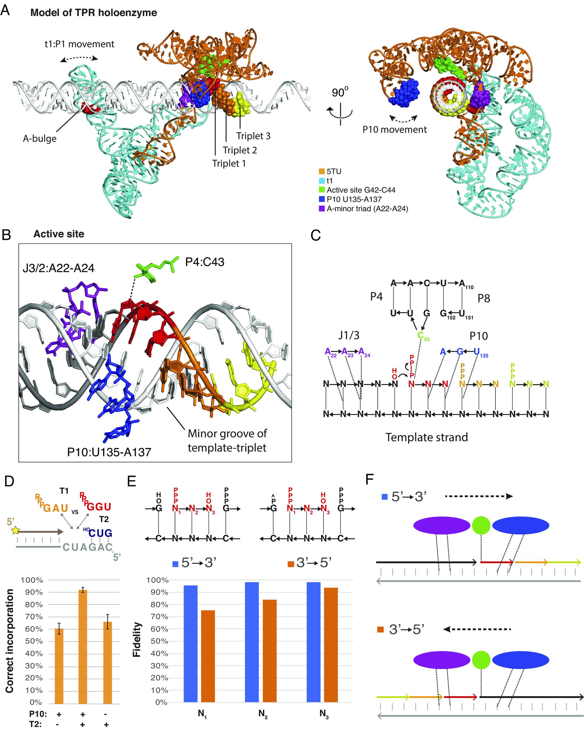 https://cdn.ncbi.nlm.nih.gov/pmc/blobs/9b01/10801858/8250c49c7b80/pnas.2313332121fig06.jpg