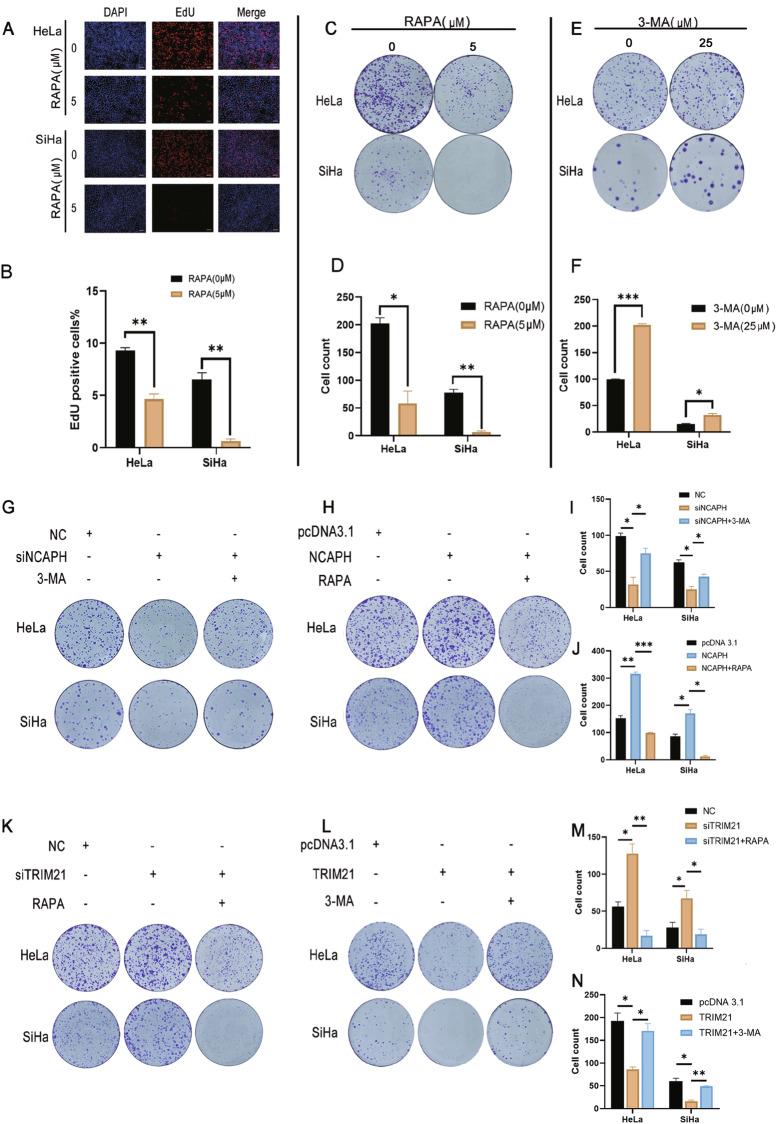 https://cdn.ncbi.nlm.nih.gov/pmc/blobs/9b01/11300717/f22396c88eb4/41419_2024_6932_Fig7_HTML.jpg