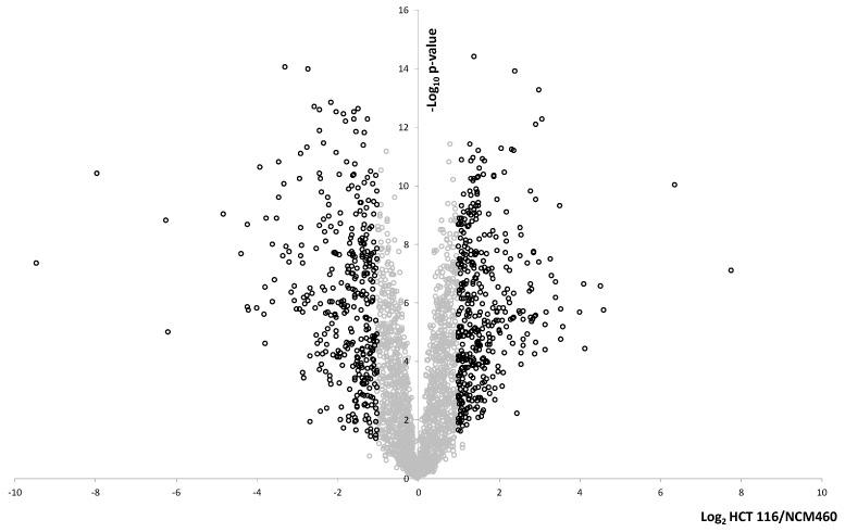 https://cdn.ncbi.nlm.nih.gov/pmc/blobs/9b01/7278953/430336082b55/ijms-21-03466-g003.jpg