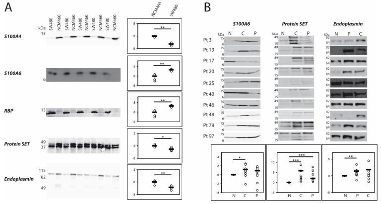 https://cdn.ncbi.nlm.nih.gov/pmc/blobs/9b01/7278953/a66a6ddfaa14/ijms-21-03466-g004.jpg