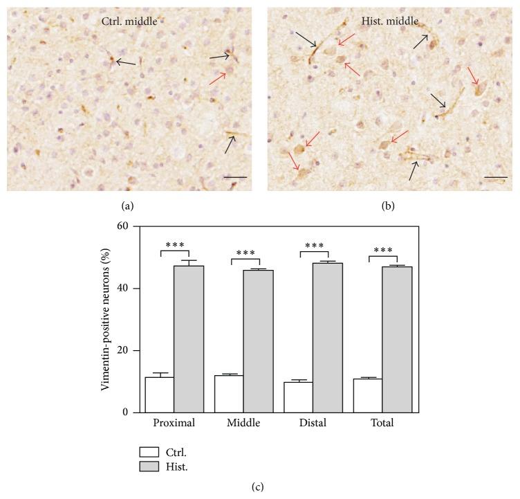 https://cdn.ncbi.nlm.nih.gov/pmc/blobs/9b03/4677161/89d7f20b19d4/BMRI2015-937148.003.jpg