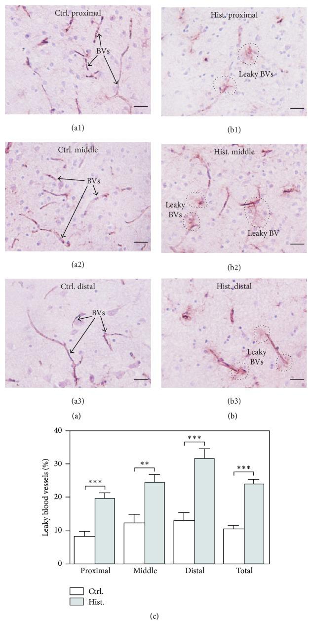 https://cdn.ncbi.nlm.nih.gov/pmc/blobs/9b03/4677161/ecb27f729a6f/BMRI2015-937148.001.jpg