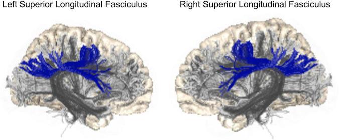 https://cdn.ncbi.nlm.nih.gov/pmc/blobs/9b03/9766353/39cbafeb4bf8/fpsyt-13-999384-g001.jpg