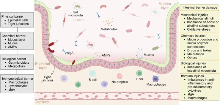 https://cdn.ncbi.nlm.nih.gov/pmc/blobs/9b04/11926878/a075c5ce74e2/jf5c00745_0002.jpg