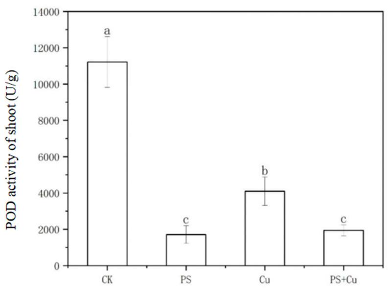https://cdn.ncbi.nlm.nih.gov/pmc/blobs/9b05/11723024/a07166bae092/nanomaterials-15-00017-g006.jpg