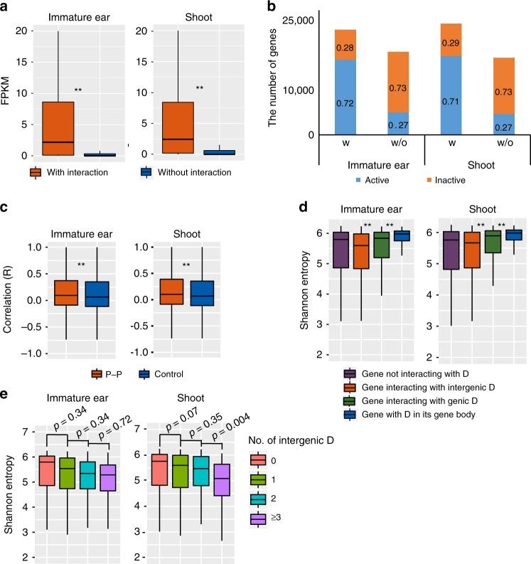 https://cdn.ncbi.nlm.nih.gov/pmc/blobs/9b05/6572780/2239b620f277/41467_2019_10603_Fig5_HTML.jpg
