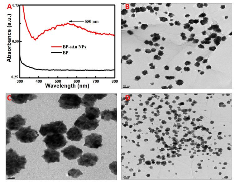 https://cdn.ncbi.nlm.nih.gov/pmc/blobs/9b06/10886513/535e5e5f3840/biosensors-14-00106-g001.jpg