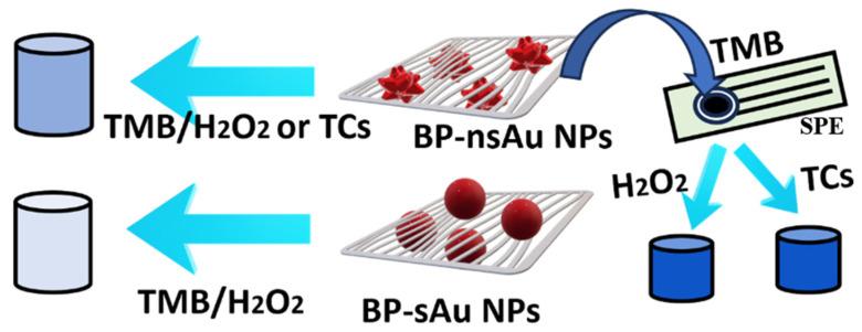 https://cdn.ncbi.nlm.nih.gov/pmc/blobs/9b06/10886513/7f159f2f8b1b/biosensors-14-00106-sch001.jpg