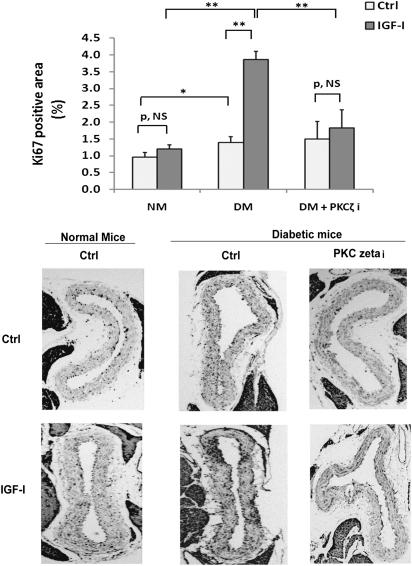 https://cdn.ncbi.nlm.nih.gov/pmc/blobs/9b06/3237650/58469f79c599/104fig8.jpg