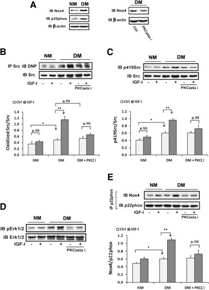 https://cdn.ncbi.nlm.nih.gov/pmc/blobs/9b06/3237650/6a2296d17485/104fig7.jpg