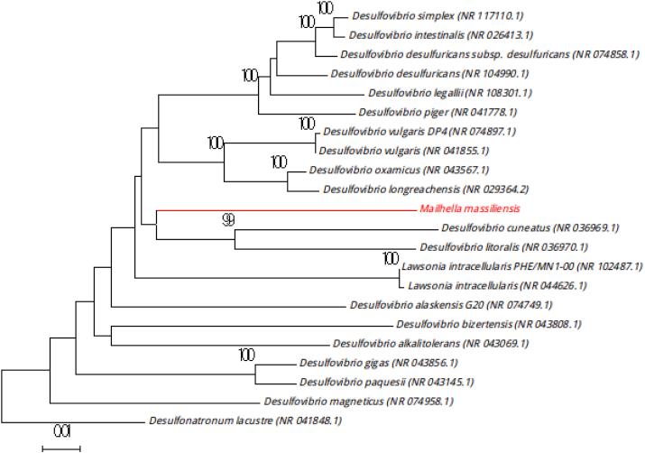 https://cdn.ncbi.nlm.nih.gov/pmc/blobs/9b06/5382032/2efe6846bd27/gr6.jpg