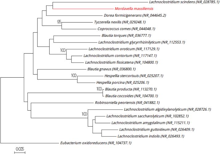 https://cdn.ncbi.nlm.nih.gov/pmc/blobs/9b06/5382032/6f527cccc0cd/gr5.jpg