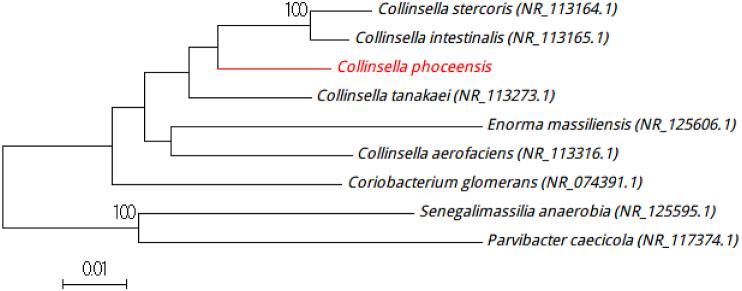 https://cdn.ncbi.nlm.nih.gov/pmc/blobs/9b06/5382032/d88d6c1659e2/gr1.jpg