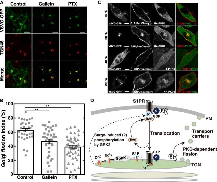 https://cdn.ncbi.nlm.nih.gov/pmc/blobs/9b06/8590068/8a9b531064a9/gr8.jpg