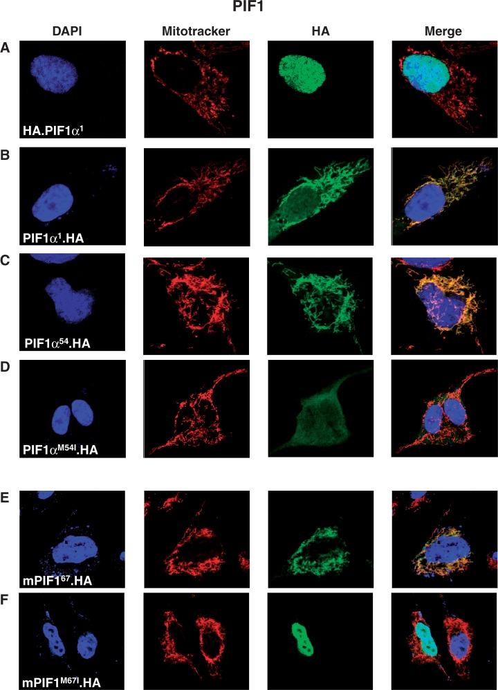 https://cdn.ncbi.nlm.nih.gov/pmc/blobs/9b08/3575844/1cc9f91bb69b/gks1347f5p.jpg