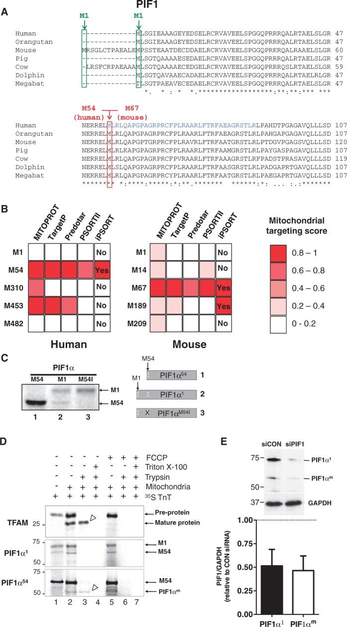 https://cdn.ncbi.nlm.nih.gov/pmc/blobs/9b08/3575844/99ddbf359411/gks1347f4p.jpg