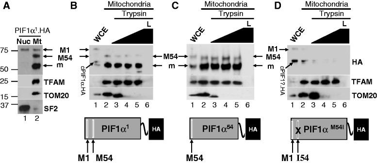 https://cdn.ncbi.nlm.nih.gov/pmc/blobs/9b08/3575844/cd8f9a9dc4fd/gks1347f6p.jpg
