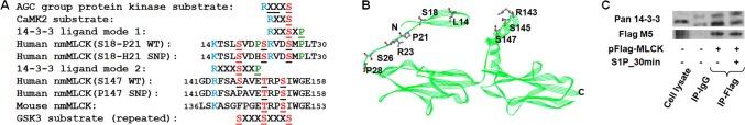 https://cdn.ncbi.nlm.nih.gov/pmc/blobs/9b09/4482139/652209e7b08a/pone.0130515.g006.jpg