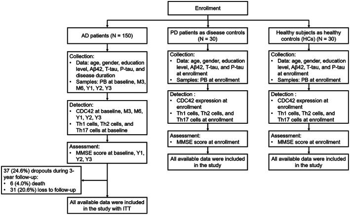 https://cdn.ncbi.nlm.nih.gov/pmc/blobs/9b0b/9463943/e161cd03b69b/ACN3-9-1428-g003.jpg