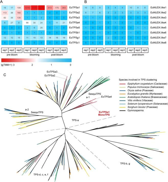 https://cdn.ncbi.nlm.nih.gov/pmc/blobs/9b0d/11997432/7d43b39618bd/uhaf039f3.jpg