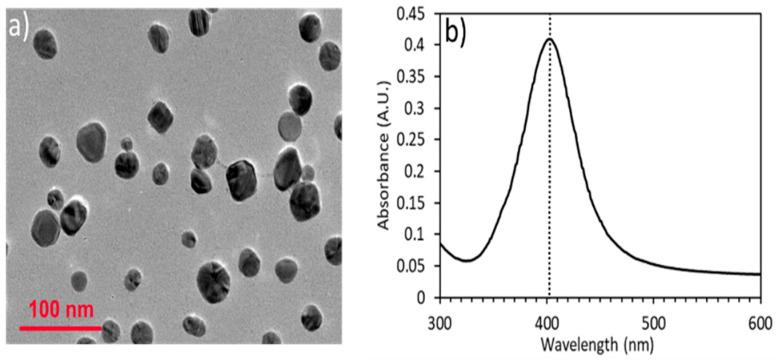 https://cdn.ncbi.nlm.nih.gov/pmc/blobs/9b11/11643483/2d8e7a071b3b/nanomaterials-14-01927-g004.jpg
