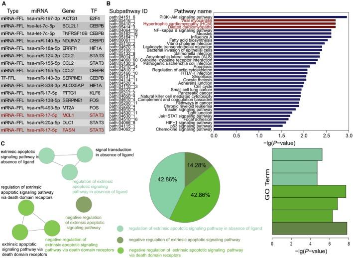 https://cdn.ncbi.nlm.nih.gov/pmc/blobs/9b12/6307764/627c744a4bee/JCMM-23-306-g003.jpg