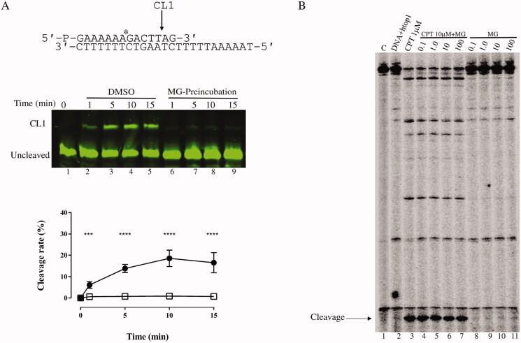 https://cdn.ncbi.nlm.nih.gov/pmc/blobs/9b12/9132426/634261491325/IENZ_A_2078320_F0002_C.jpg