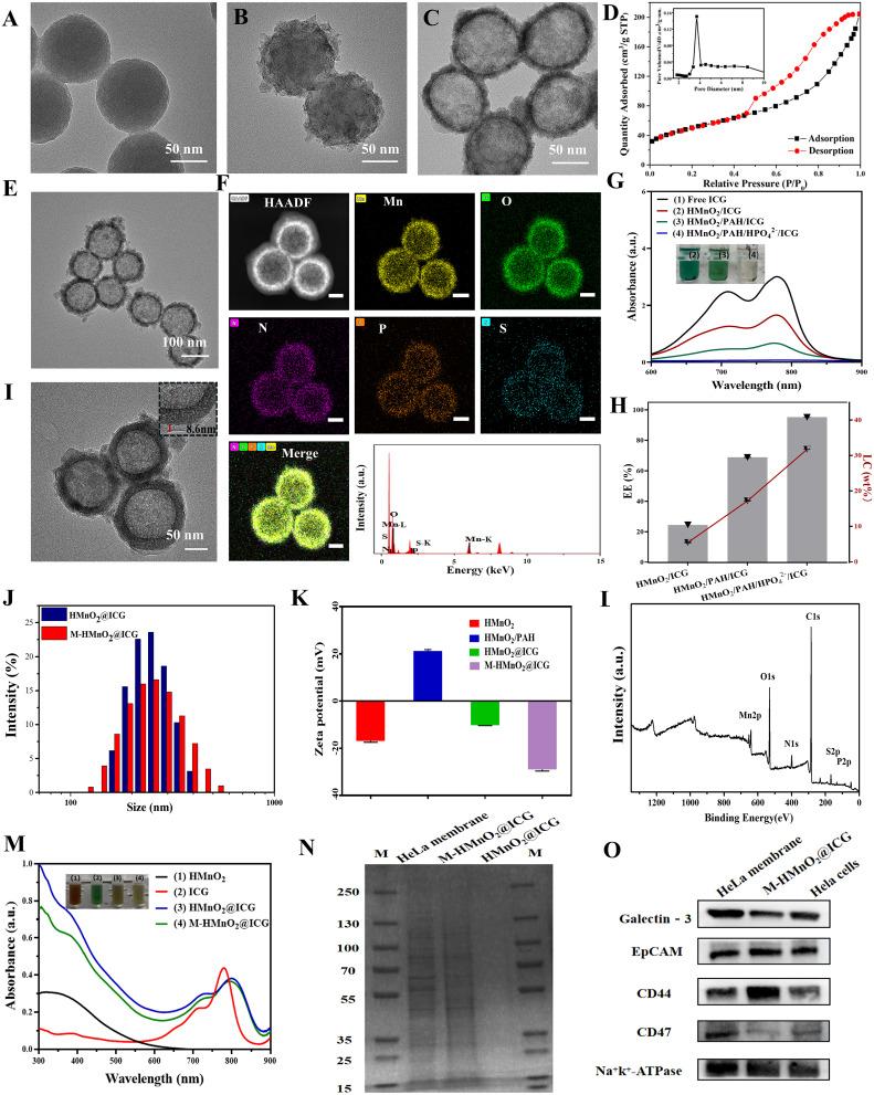 https://cdn.ncbi.nlm.nih.gov/pmc/blobs/9b13/11182360/356b7cc8b622/IJN-19-5837-g0002.jpg